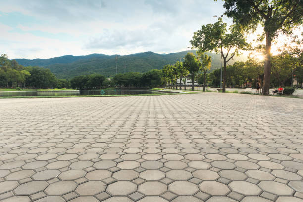 Best Brick Driveway Pavers  in Parkwood, WA